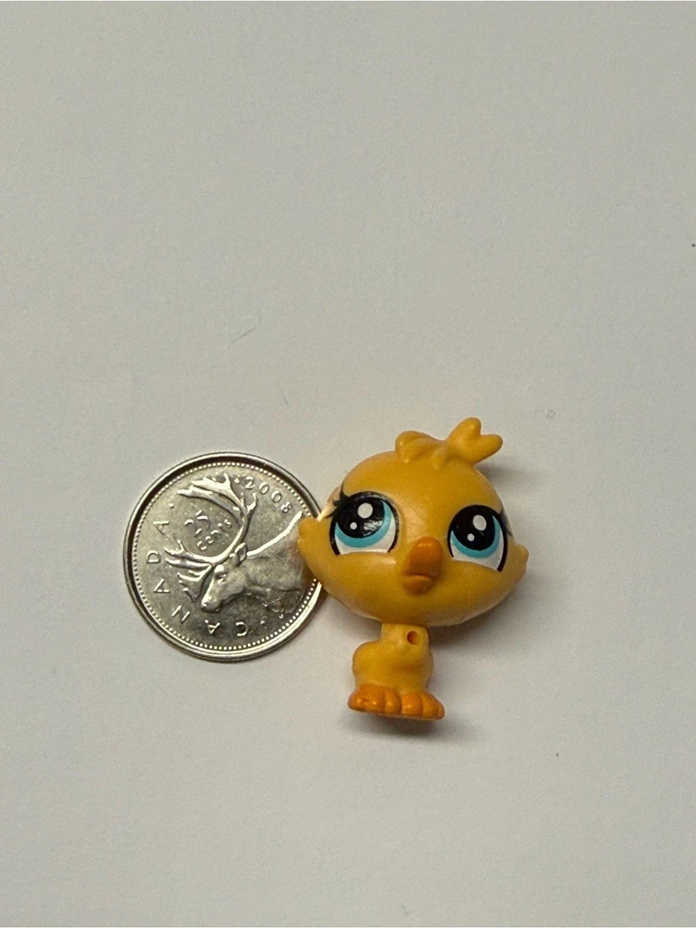 Littlest Pet Shop #4139 Devon Drake Baby